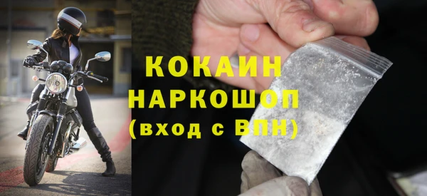 сатива Гусев