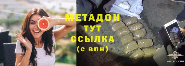 сатива Гусев