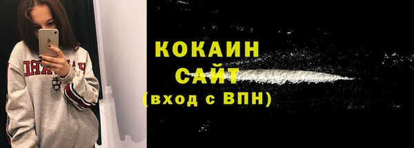 сатива Гусев